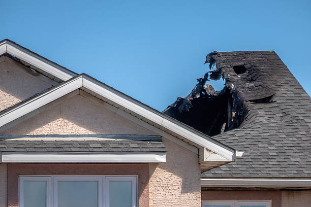 Licensed Fire Damage Assessment service in Elk River, MN - Fire Damage Biloxi